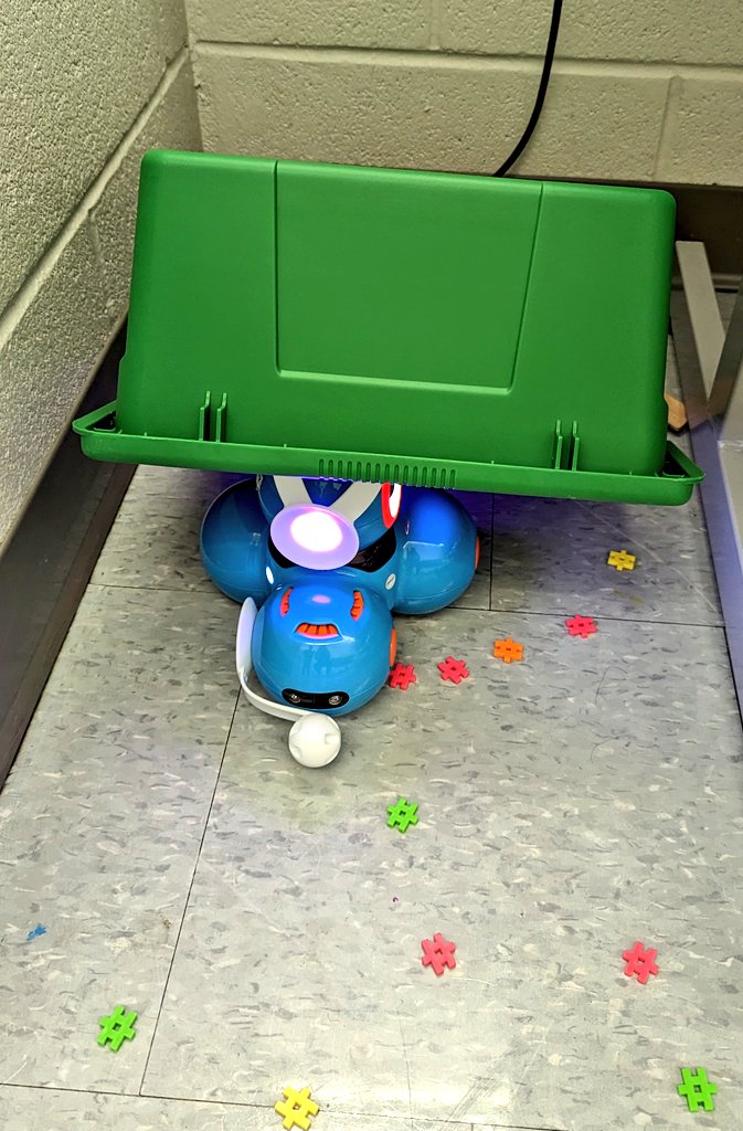 JRiversoCorreia's tweet image. Our primary #CodingClub @AngelaMericiDP caught an Easter Bunny today 🐇 Really they caught DASH disguised as the Easter bunny !! Lol
I think the bunny really loved the carrots and easter eggs that were left for him @DPCDSBSchools #PrinaryCoders