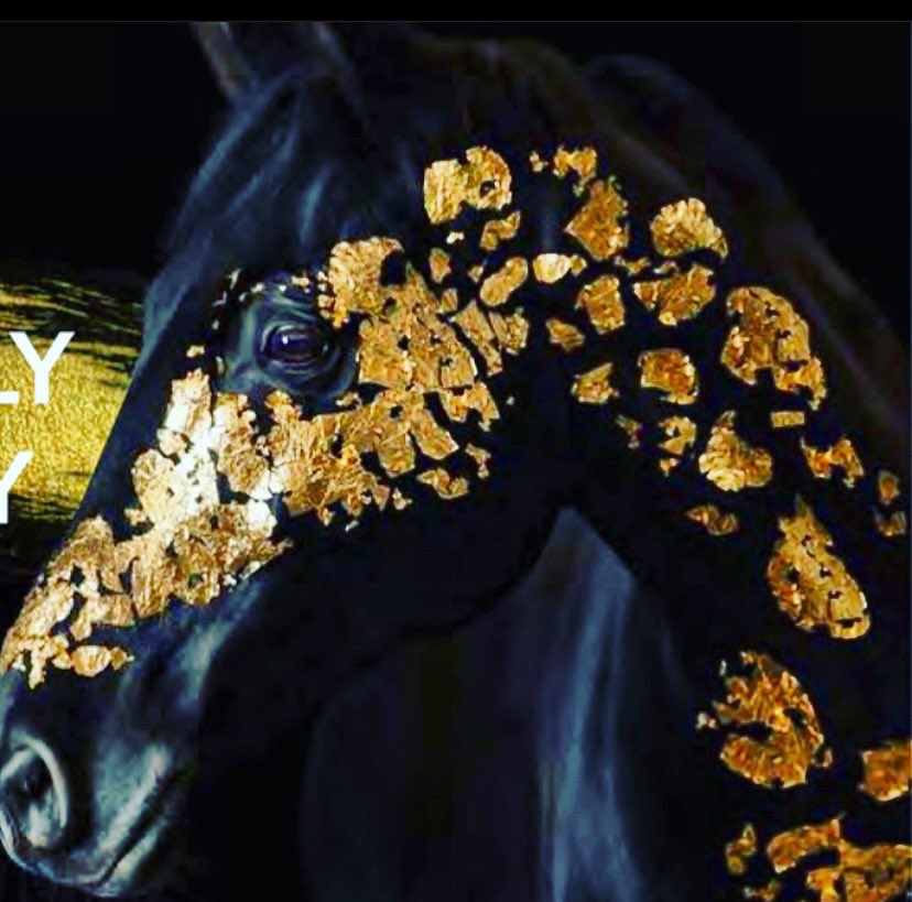 All will be revealed very soon!!! The Dream Team has united! #champagne #vip #champagnebar #oysters #oysterbar #sushi #durban #horseracing <a href="/GLeventsSA/">GLeventsSouthAfrica</a> <a href="/NkatekoS_ZA/">Nkateko Shipalana</a> <a href="/JanineIlona/">J Meyer-Hoffmann</a>