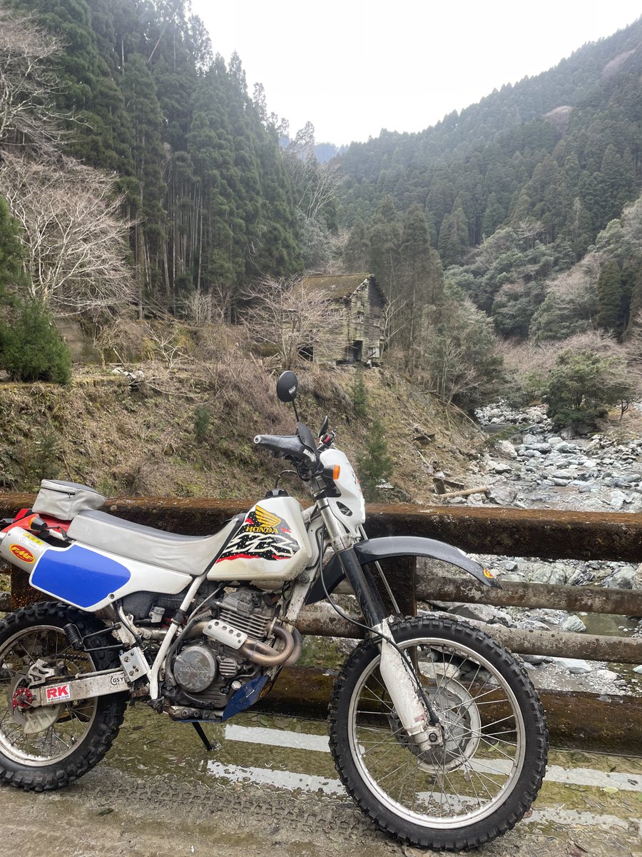 XjaEUYG6BdX0DZq's tweet photo. #今のバイクを所有して1番後悔した事言う
#XR250R
#ME06
オフロードバイクで砂利道走りたいのに綺麗なアスファルト道路しか無くなってきた!
ブロックタイヤ履いても意味がなくなる https://t.co/xrywMysHZX