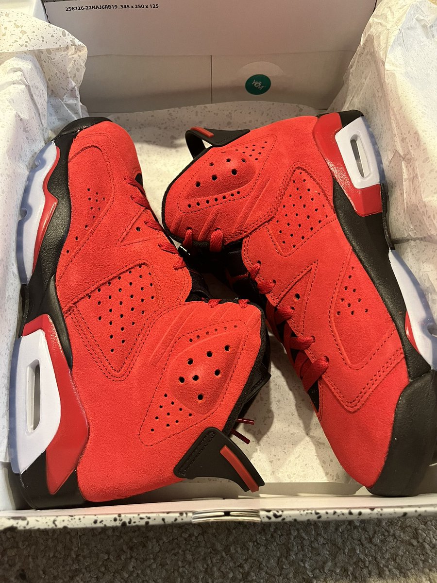 SheSneaks2 tweet media