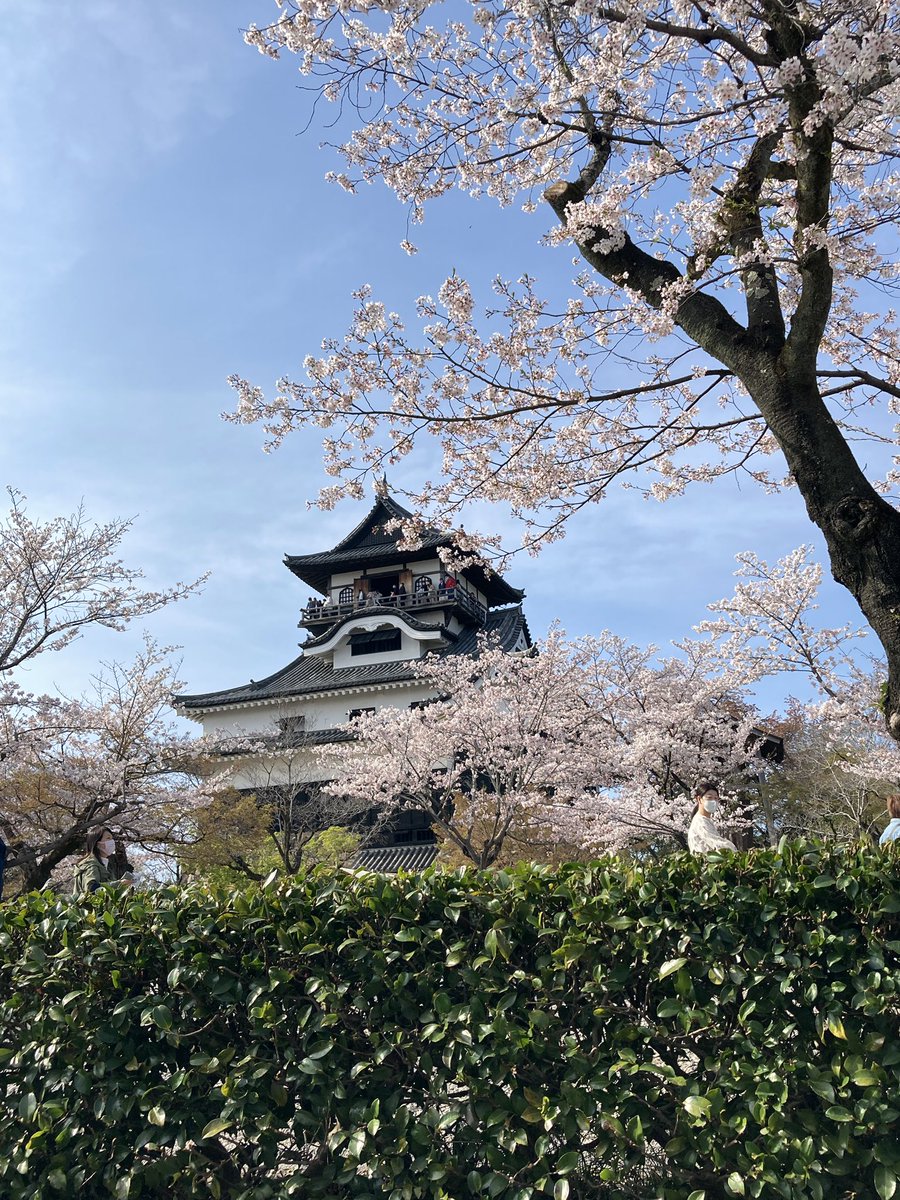 New episode is finally up! Inuyama castle in Aichi prefecture was so beautiful with the cherry blossoms!

#femalepodcasts #femalepodcaster #japan #japantravel #castle #inuyamacastle #犬山城  #ポッドキャスト #cherryblossoms #sakura #お城 #japanlife