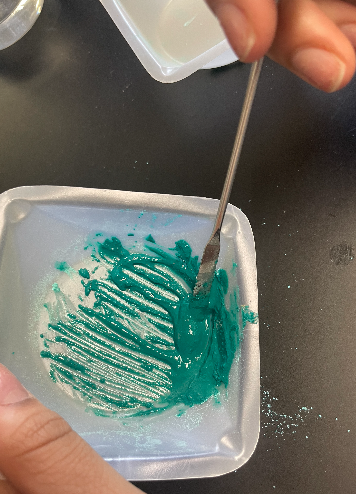Me and <a href="/NeeraS_nthc/">Neera Seif</a> just synthesized our very own paint! I'm so excited to showcase our art during Spring Fling.