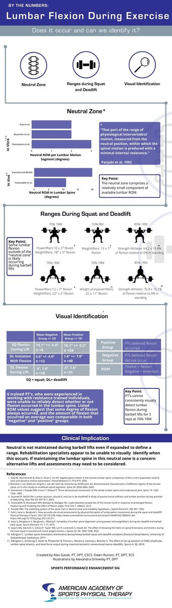 SportPerformSIG's tweet photo. Lumbar flexion during exercise. Does it happen? Can we see when it does? New addition to our “By the numbers” series. 

Massive thanks to @runbabyo Alex Gacek, Alexandra Orlowsky &amp; @Chris_Juneau3 https://t.co/62fmvOn0nT