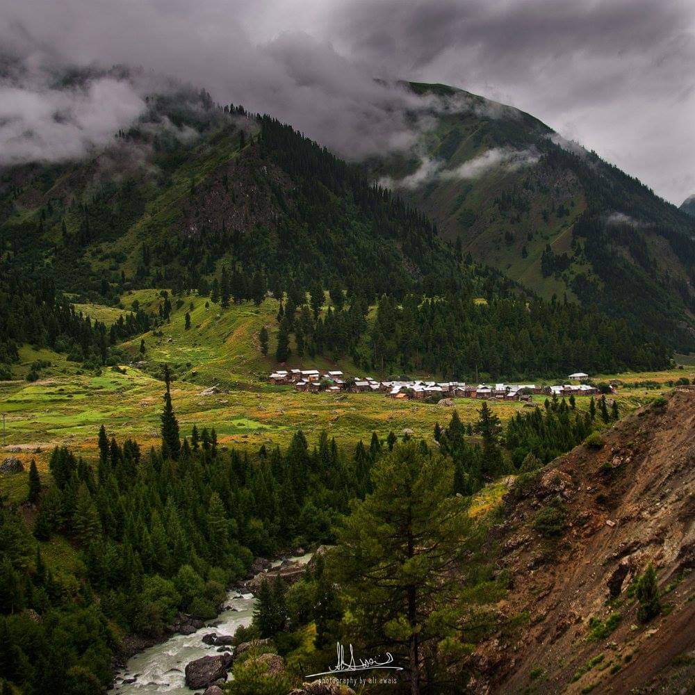 GBTourism_'s tweet photo. ضلع استور, گلگت بلتستان کے ان خوبصورت علاقوں میں شمار کیا جاتاہے جواپنی قدرتی حُسن سے مالامال ہے۔ ضلع استور سطح سمندر سے 2،600 میٹر بلندی پر واقع ہے۔

@Its_Astori @_astorepak https://t.co/6u5l404RbO