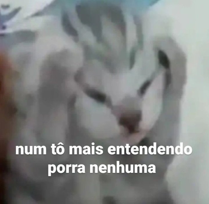 studycardan's tweet image. fico assim toda vez que os professores só jogam slide e não explicam nada