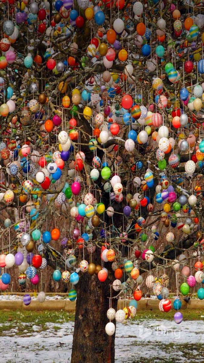 kitawny24's tweet photo. #AmongTheSpringFlowersISee an Easter egg tree https://t.co/hzhKPpqAIl