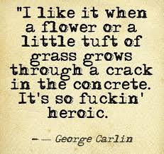 hgmackinnon's tweet photo. #AmongTheSpringFlowersISee what George said.
@LoriCatanese3 https://t.co/QXFf2CshWO