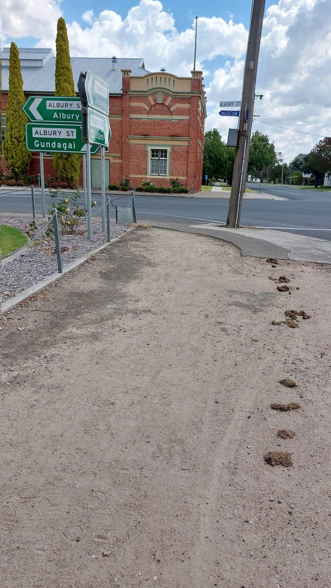 pfwaus's tweet image. When you share the footpath with horses at #Holbrook #NewSouthWales #NSW #Australia #nature 😳😂