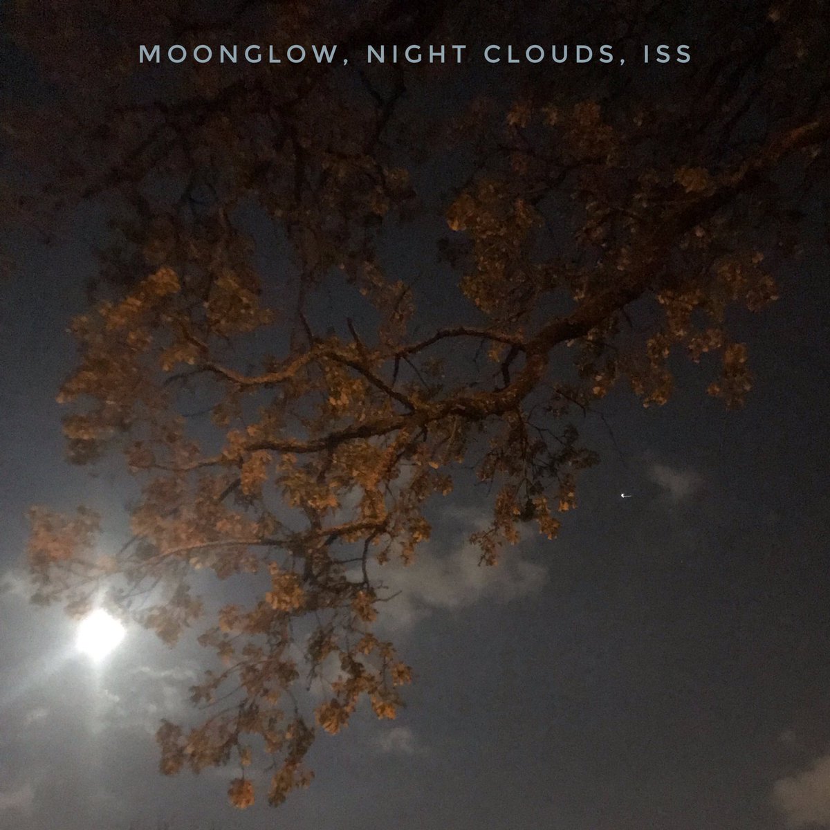 PriceReep's tweet photo. #moonglow, #nightclouds, #iss https://t.co/ZxzrtLJqCs