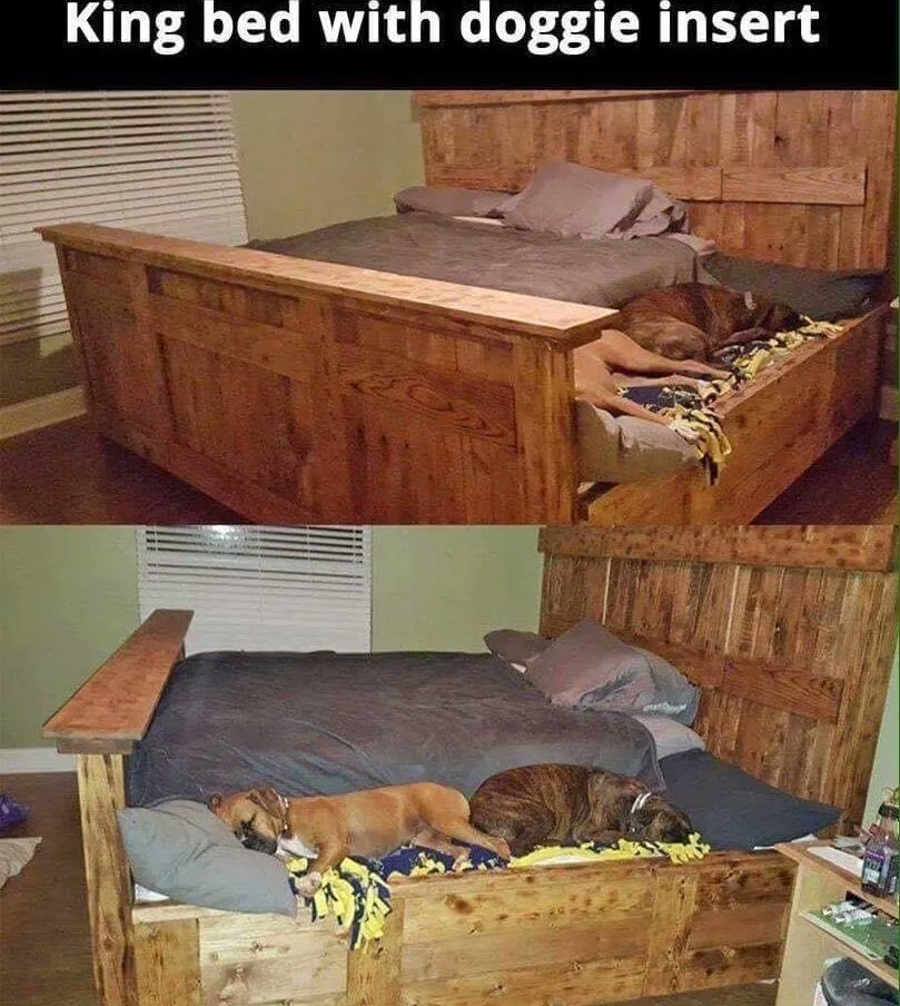 iFunny's tweet image. 