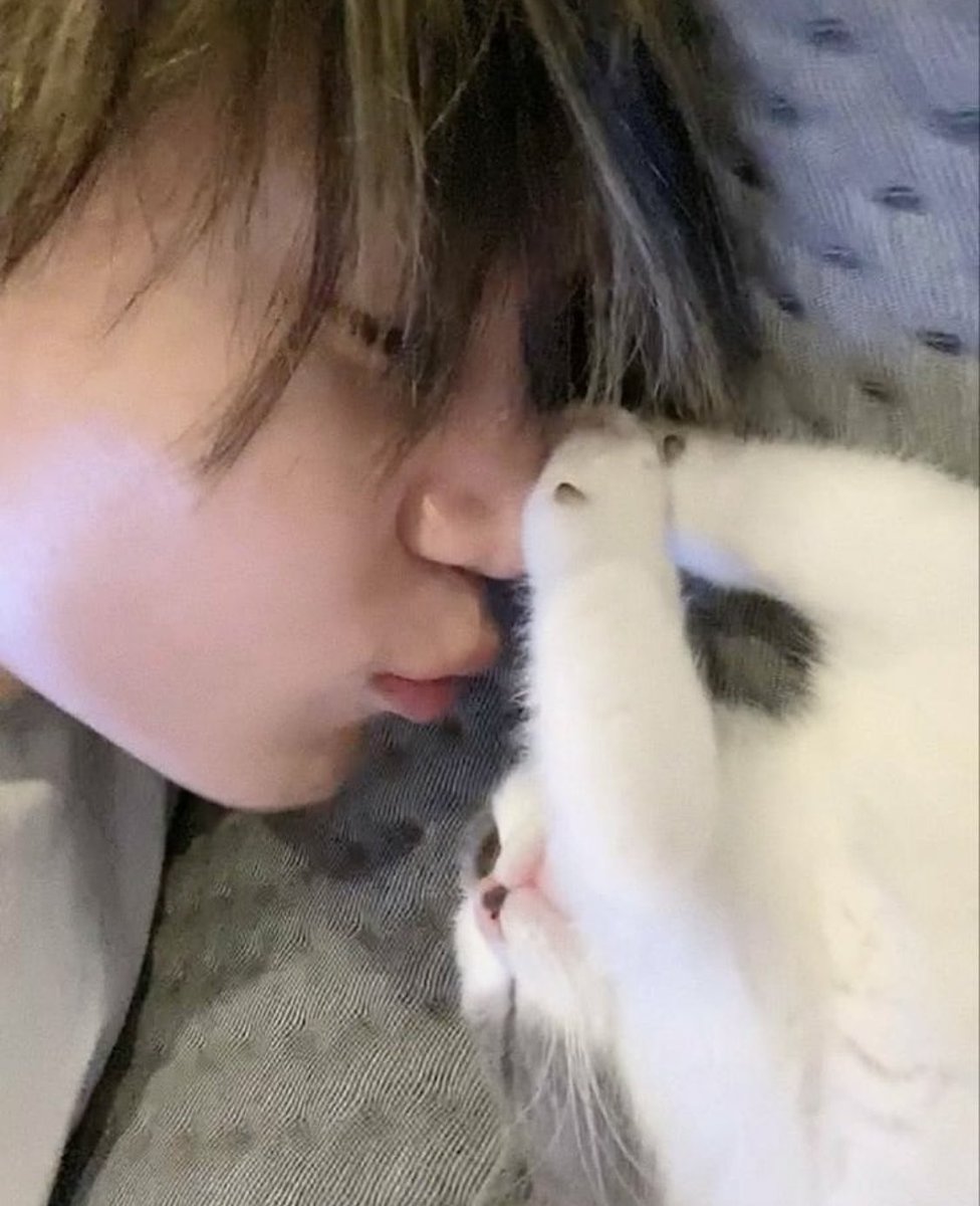 ms2SHINee's tweet photo. てみんちゃんおかえり🥺❤️
そしてお疲れ様！
ずーっと待ってたよおお😭❤️💎

 #テミン #TAEMIN #SHINee   
#안녕태민아_우리잘기다렸지  #TAEMINisback_DDAY https://t.co/NlYUbZav8e