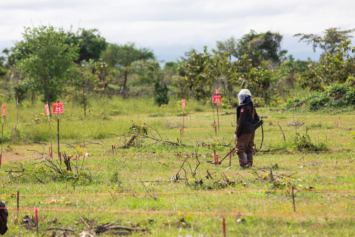 UNDPCambodia's tweet photo. “Together, @UNDP & #CMAA, #MineAction operators, survivor networks & development actors, can make #Cambodia 🇰🇭 safer where victims of #landmines & #ERWs can have life & have it more abundantly,” asserts @ACRundp, @UNDPCambodia Res. Rep.
🧵 2/2 #MineFreeCambodia #IMAD2023 https://t.co/yF51HciiHA