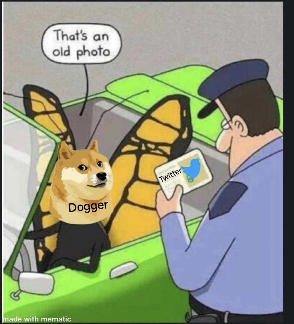 KryptoCry's tweet photo. $DOGGER is the next meme King https://t.co/wqw3lZLhvN