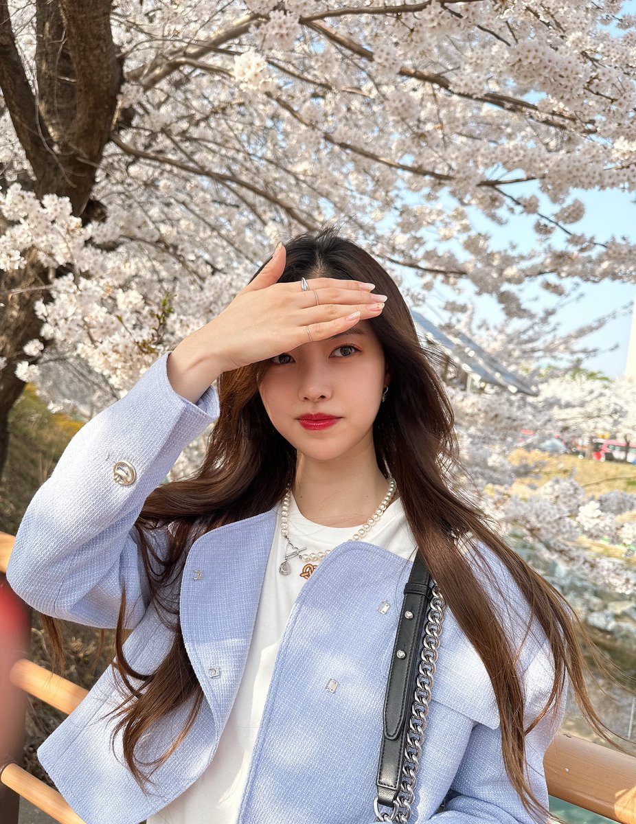 seyun_jp's tweet photo. 🌸🌸🌸 https://t.co/vUXlFJTto9