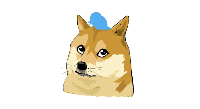 doge 