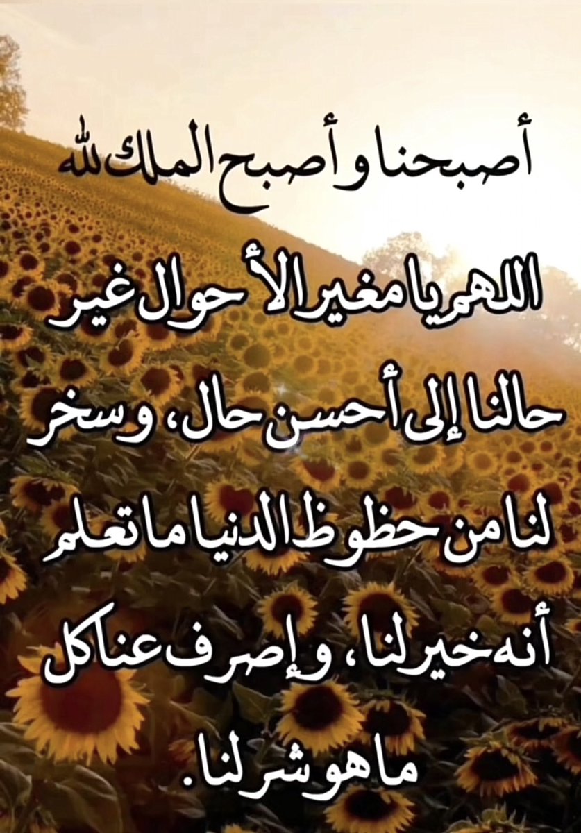 عبدالله فودة(العمدة) ابوبندر tweet media