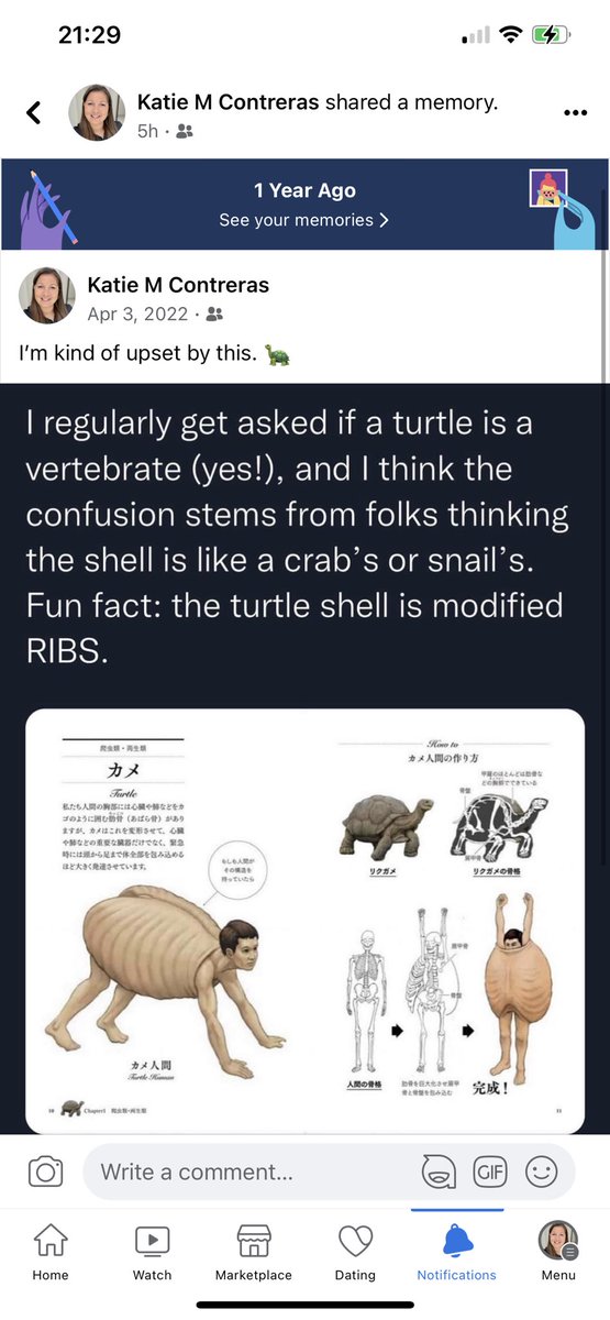 Nope. Don’t like that at all. 🧐