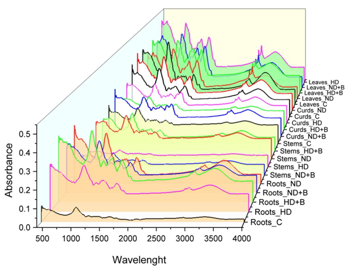 Sus_MDPI's tweet image. #SUSEditorialChoice

Evaluating the Influence of Nitrogen Fertilizers and Biochar on Brassica oleracea L. var. botrytis by the Use of Fourier Transform Infrared (FTIR) Spectroscopy 

by Daniela Losacco, et al.

mdpi.com/2071-1050/14/1…

#FTIR #spectralanalysis