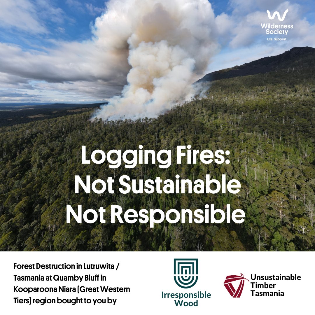 TassieWild's tweet photo. Autumn in Lutruwita/Tasmania. Fagus turning, mellow weather & logging fires.
This is Quamby Bluff at Kooparoona Niara (Great Western Tiers) on 2nd April.
Forestry Tasmania (trading as 'Sustainable Timber Tasmania') plans 200 more this autumn.
Carbon bombs away!
#politas https://t.co/IVJQHLMKnx