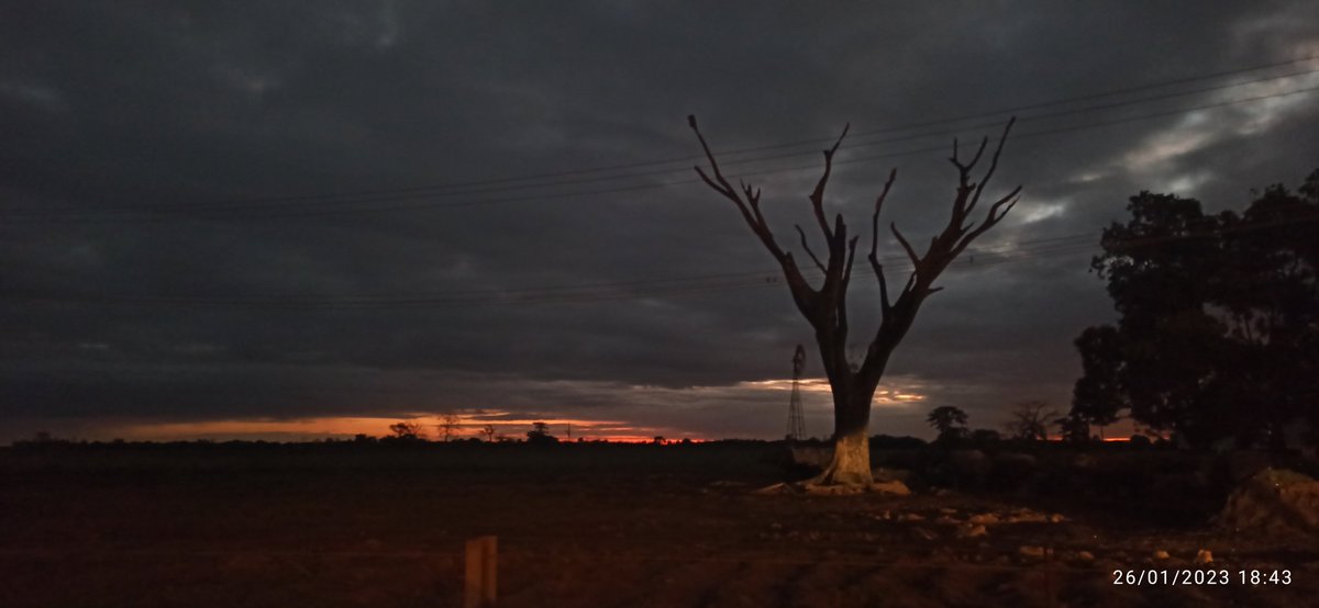 🐾🌹Ramón David🪐🚀🏀 tweet media