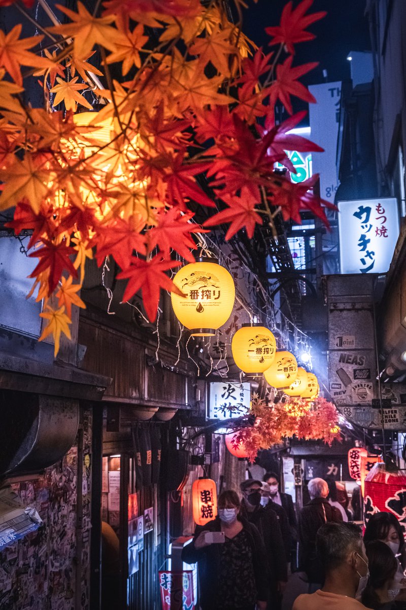 khemsok97's tweet image. #progtip: Networking protocols are key for successful programming! Make sure to understand them to optimize connection speeds, improve stability and reduce latency. #networking #programming