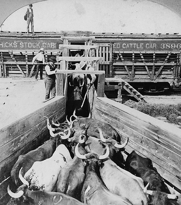 I wish I could have loaded cattle on a rail car just once in my life.