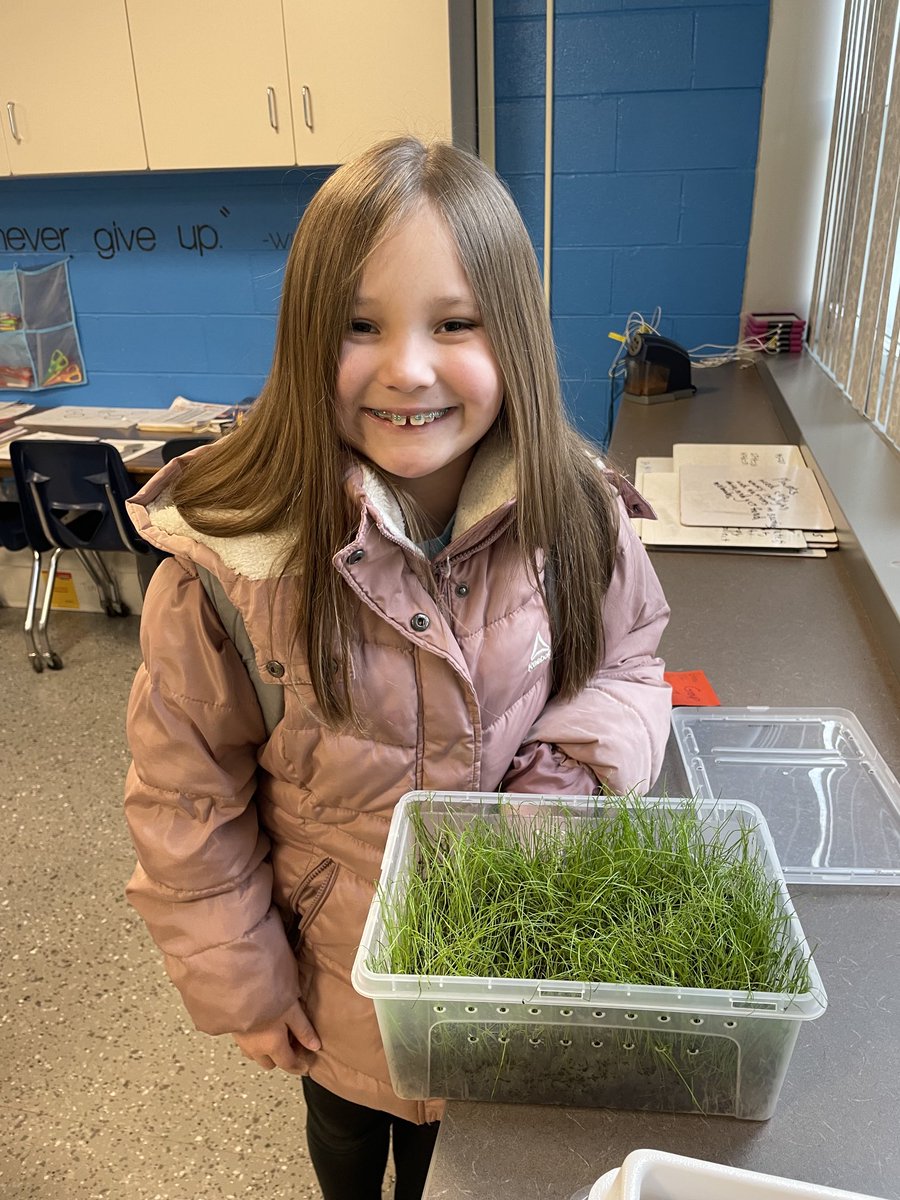 Ms. Tomasevich tweet media