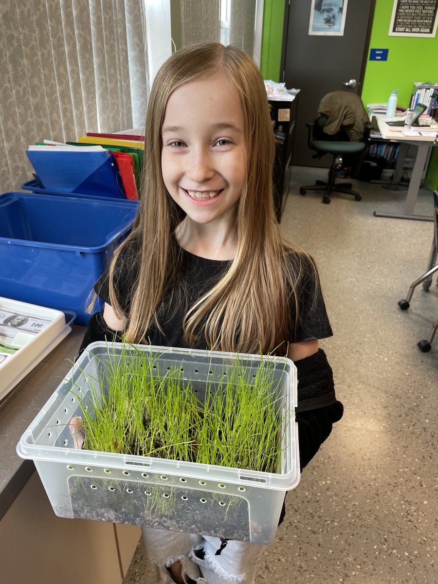 Ms. Tomasevich tweet media