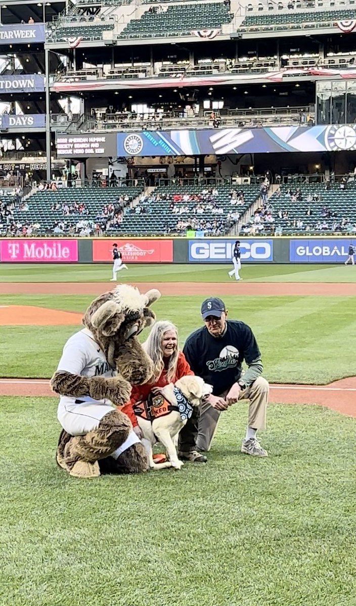 selshult's tweet image. Keb getting recognized as the voice for all K9 search and rescue teams at ceremonial first pitch at Mariners game against the Los Angeles Angels tonight. #mariners #seattlemariners #searchdogs #adogsdevotion #herodogs #marinersmascot #lyonspress #americanhumane