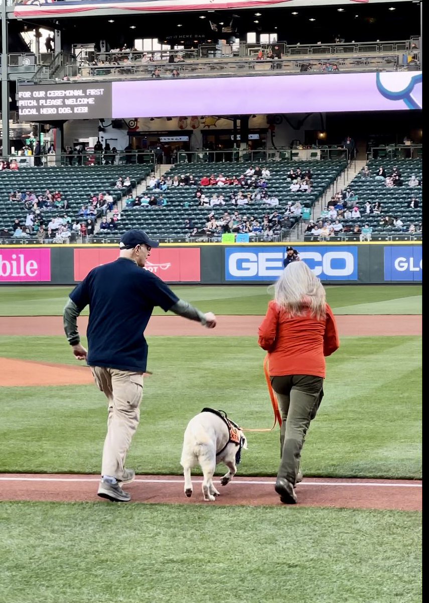 selshult's tweet image. Keb getting recognized as the voice for all K9 search and rescue teams at ceremonial first pitch at Mariners game against the Los Angeles Angels tonight. #mariners #seattlemariners #searchdogs #adogsdevotion #herodogs #marinersmascot #lyonspress #americanhumane