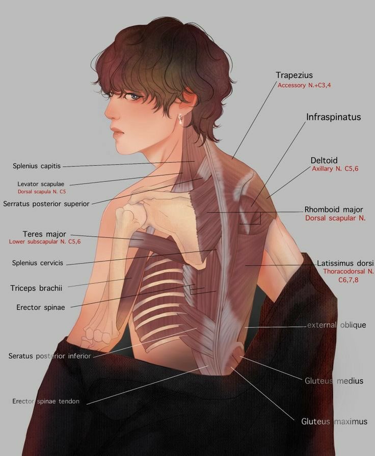Me chamo Pedro Vaz. Tenho 29 anos e atuo na área da neurocirurgia. Me considero um bom médico e tenho prazer em cursar medicina e fazer o que faço. Meu discurso sempre vai ser informal e eu nunca vou usar seriedade no tt. E é isso, amores