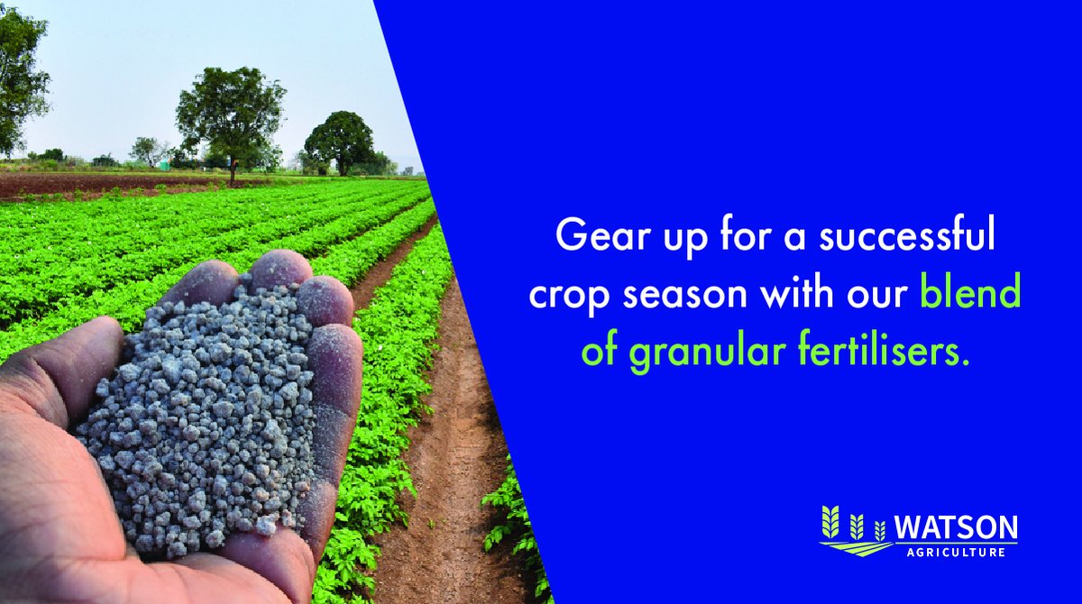 Prepare for a bountiful crop season with #WatsonAgriculture's granular fertiliser blend! 

Our formula ensures strong and healthy plant growth with essential nutrients and minerals, so your crops can thrive this season.

Learn more: watsonagriculture.com.au/fertiliser/ 

#fertiliser