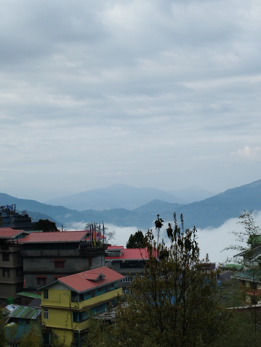 prasantika_roy's tweet photo. #GowhereyouFeelmostAlive🦋🦋 
#Mountain❤ https://t.co/WjziEcyUp5