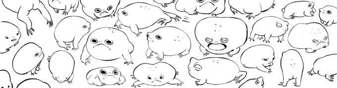 frogs frogs frogs frogs frogs frogs 