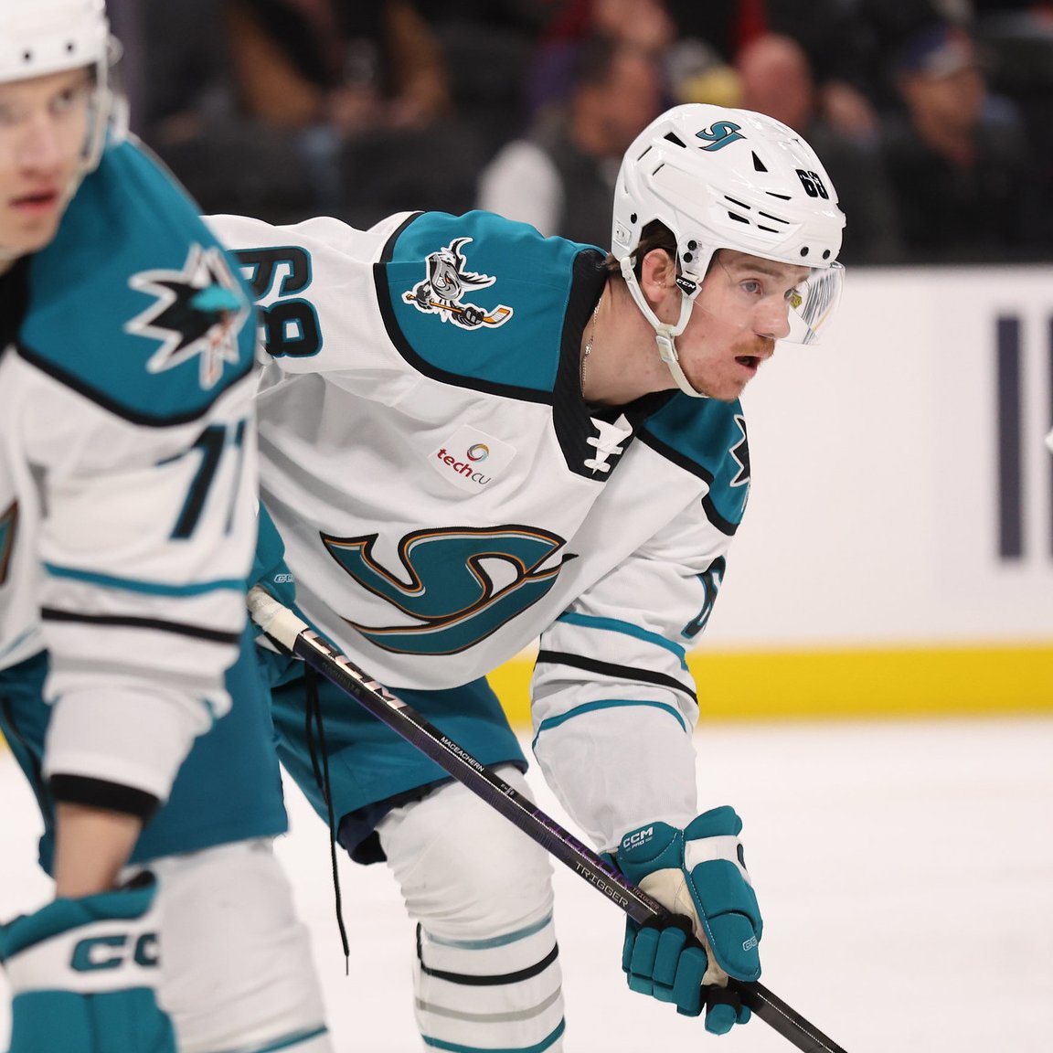 SJ Barracuda tweet media