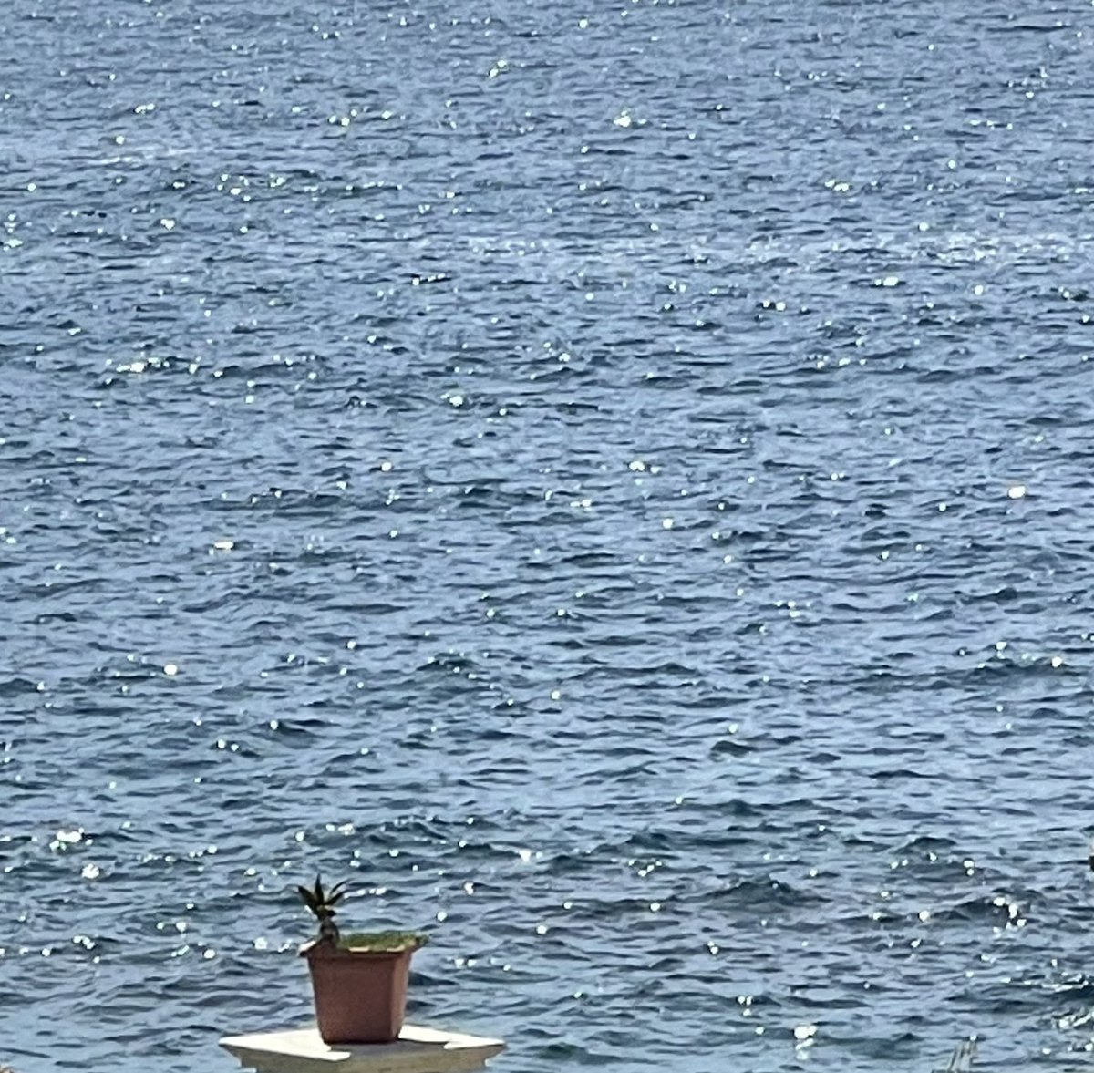 AvvFasano's tweet photo. Buongiorno care Amiche ed Amici, forza e coraggio!
Può essere ovunque, qualsiasi luogo, non c’è UN posto … perché la vita è la nostra ovunque! https://t.co/yMDs5pHC3q