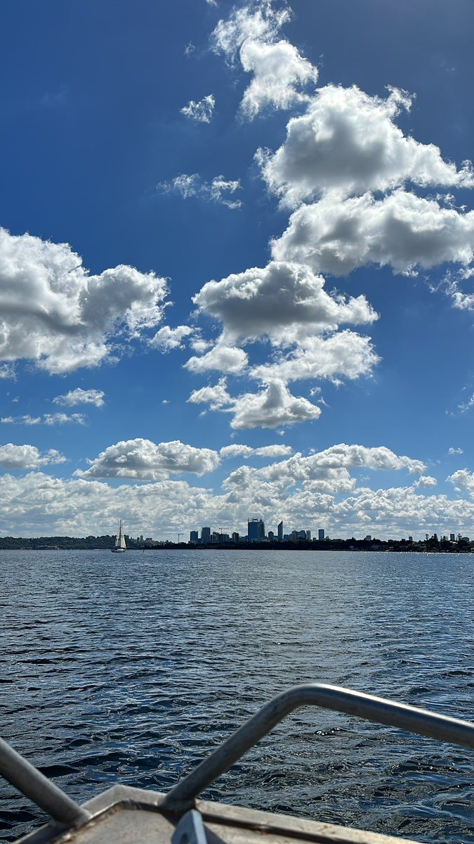 Kyrah47's tweet photo. Day for it ☀️ 
1 second in and there’s already dolphins! It’s going to be a good day 🥰 https://t.co/O7vyeRF9TA