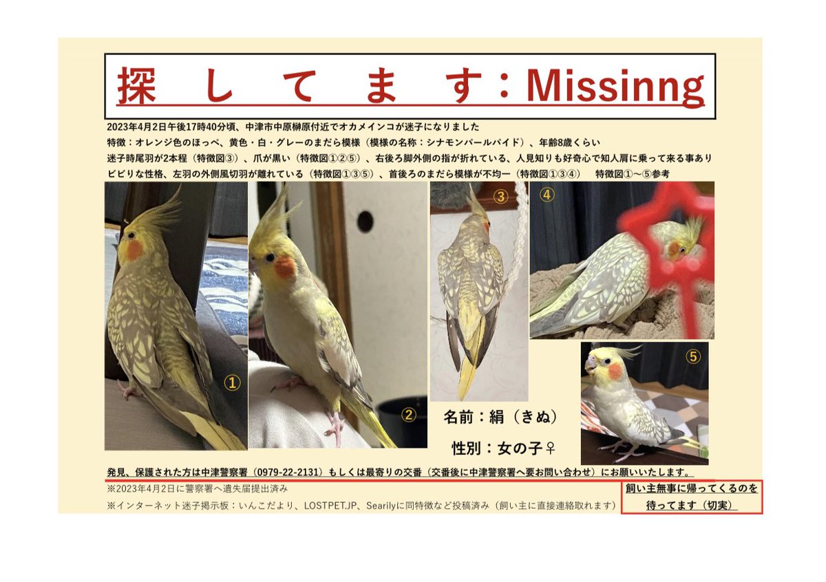 実家オカメ4/2夕方ロスト@がんちゃん@邪神オリックスは旦那💕Destiny垢ビターチョコ好き tweet media