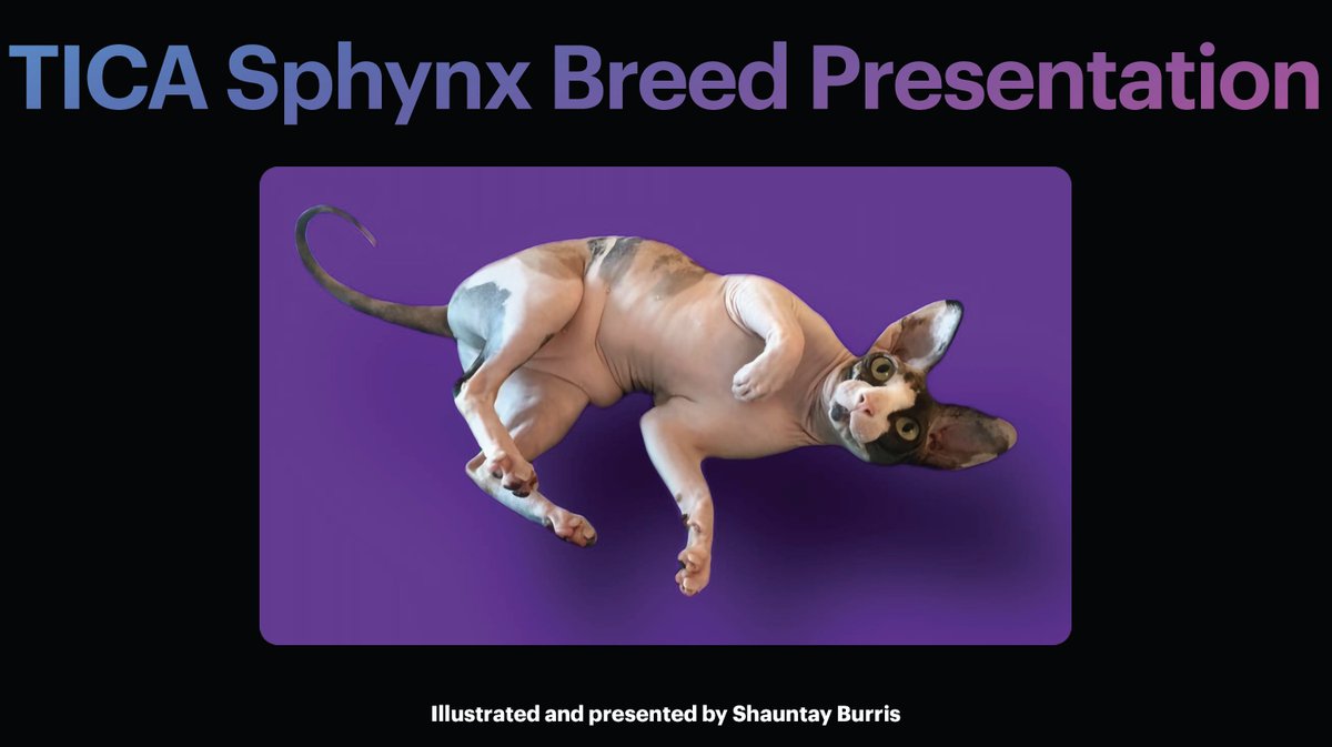 Learn all about the remarkable Sphynx, from the TICA Sphynx Committee Approved Breed Presentation.

bit.ly/3uMxqrP