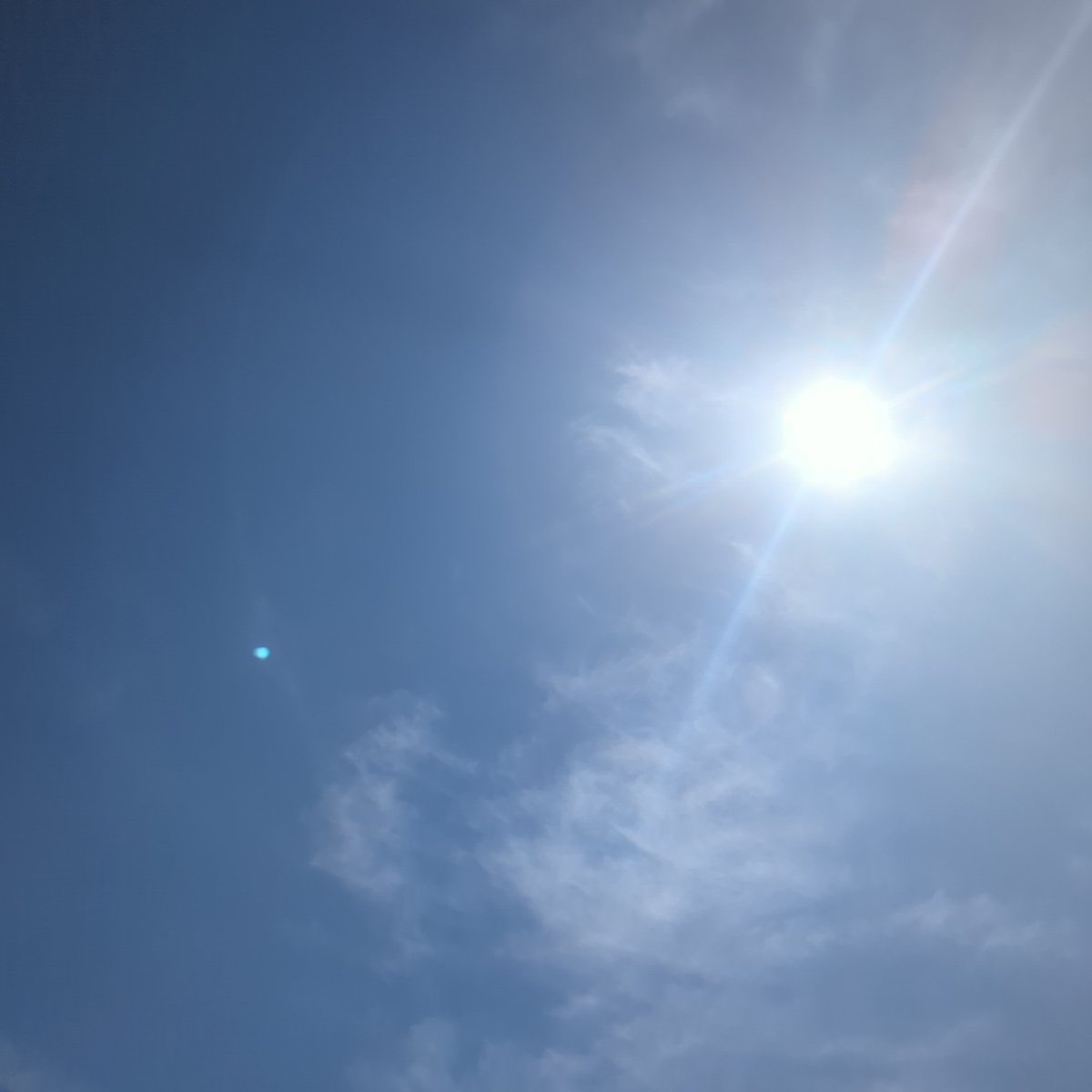 yagjiro's tweet photo. 天気が良いので日光浴びながら仕事しています https://t.co/YUuGlUYO2e