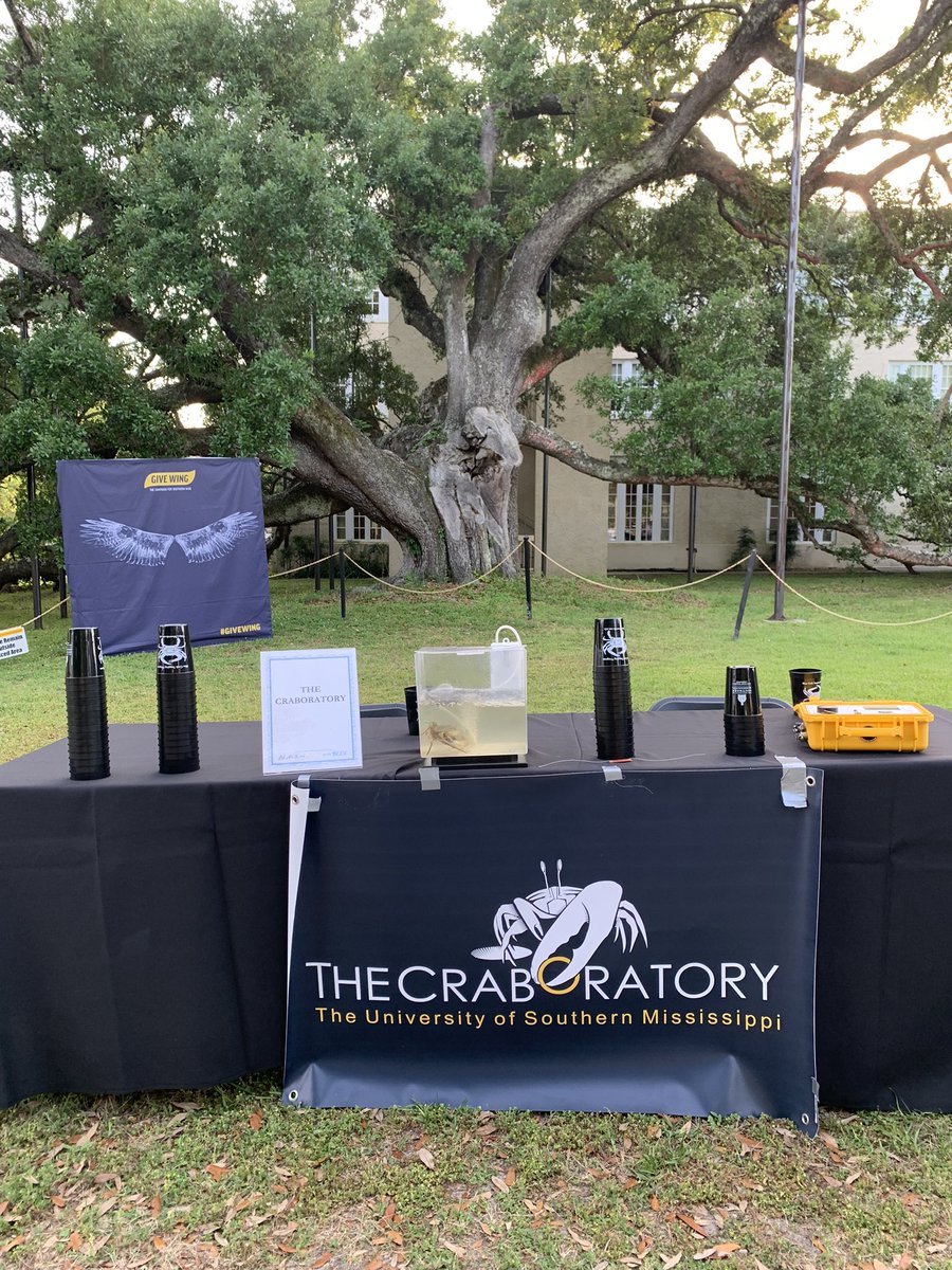 HaileeNigro's tweet photo. Black &amp; Gold on the Blue at Gulfpark this weekend - showing off a bit of what we do in ‘the Craboratory’! #SMTTT https://t.co/aIA4wRW1iw