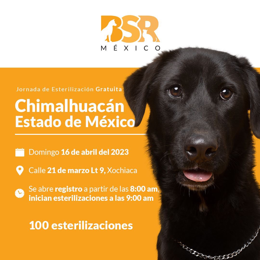 Brigada Sin Raza tweet media
