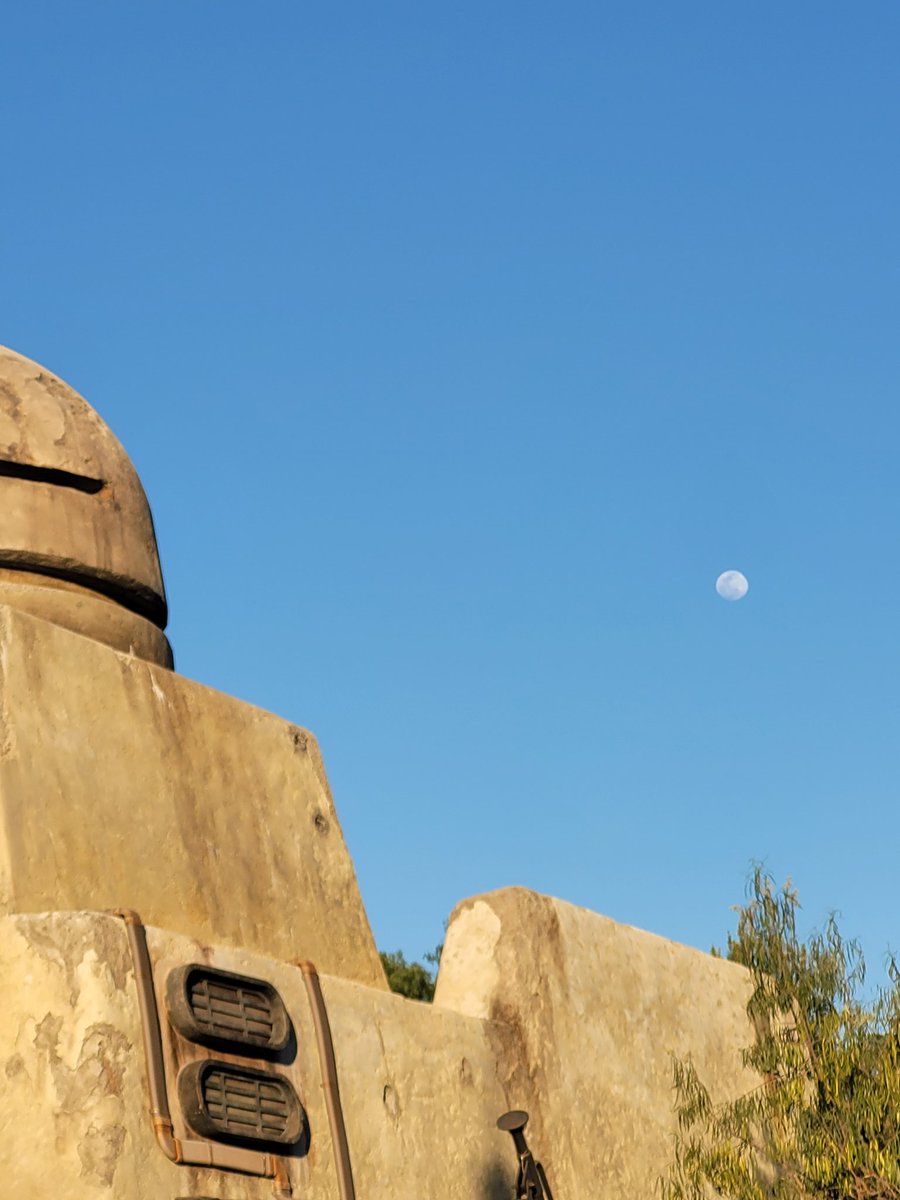 FairyoftheDead's tweet image. A nice day on Batuu.  
#swge #Disneyland #batuu