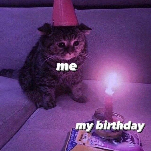 PerlaMe86795892's tweet photo. Mood ☹️ https://t.co/773nCBS8cZ