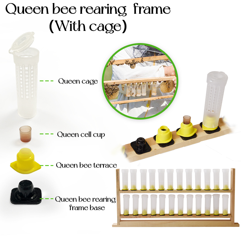 szbenefitbee's tweet photo. Beekeeping tools queen bee rearing frame
Product link :https://t.co/09KwcLVHFL
#queenbee #beekeeping #beekeepers #apicultura #Imker #beekeepingtools https://t.co/P8WkbRa3Mn