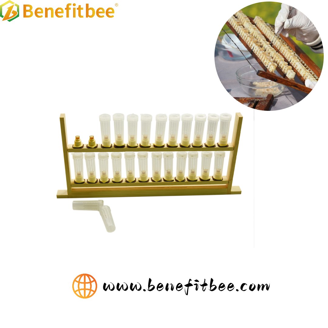szbenefitbee's tweet photo. Beekeeping tools queen bee rearing frame
Product link :https://t.co/09KwcLVHFL
#queenbee #beekeeping #beekeepers #apicultura #Imker #beekeepingtools https://t.co/P8WkbRa3Mn