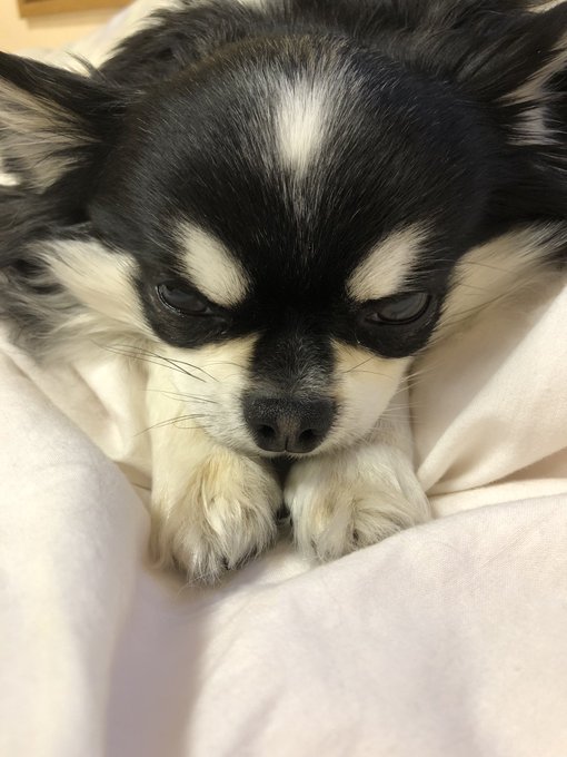 顔の下から手が生えてる 