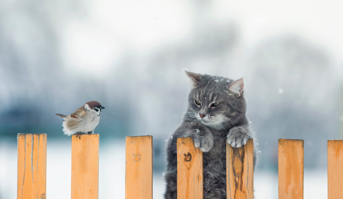 sallyeaves's tweet image. Heard the #news ?🗨️
#QlikWorld is back & if you're on the fence re attending ;) this 5 min #blog has all the whys :)
🖊️bit.ly/QlikWhys
Join Us!📌bit.ly/Qlik2023
@qlik @Talend @jamesafisher @dinisguarda @MikeCapone @Shi4Tech @thomaspower @EstelaMandela @ahier