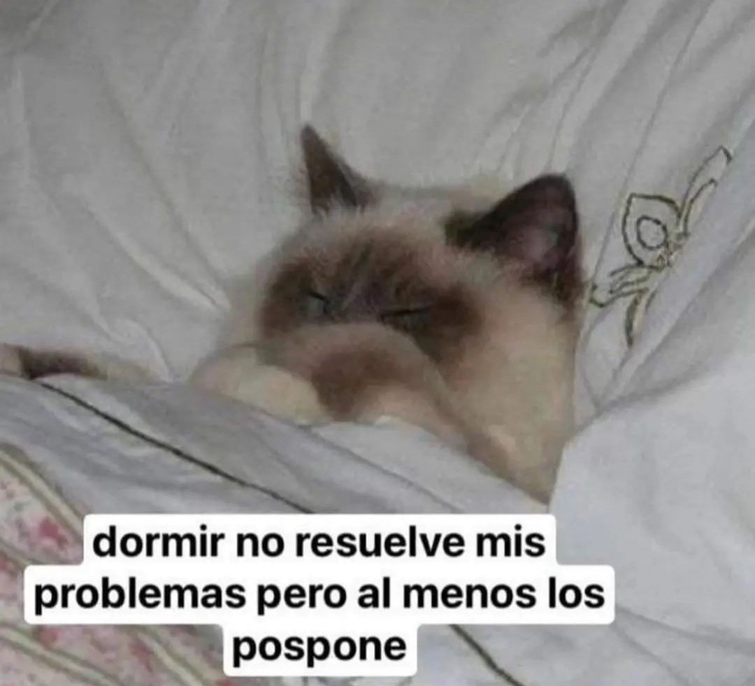 skereunpesado's tweet photo. https://t.co/YLybf8ov6u