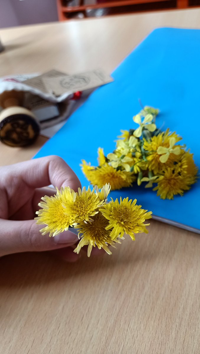 Kalbimde çiçek açtıran çiçeklerim🥹👩‍🔬
#iyikiöğretmenim